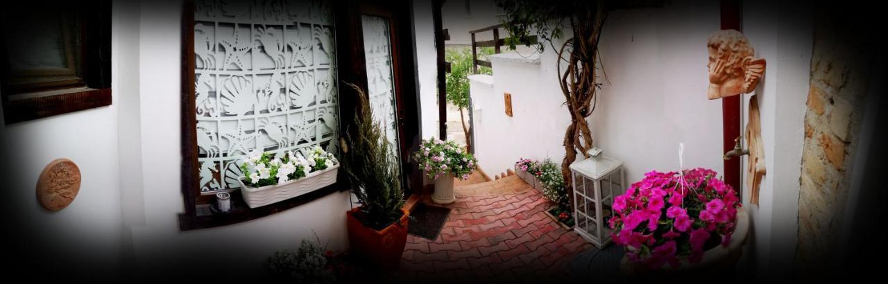 Casa Fotografului Villa คอนสตันซา ภายนอก รูปภาพ