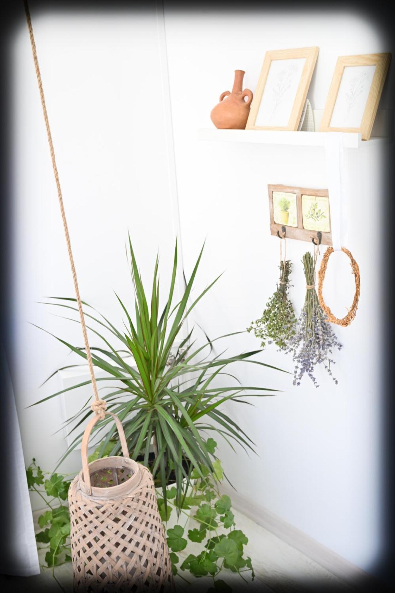 Casa Fotografului Villa คอนสตันซา ภายนอก รูปภาพ